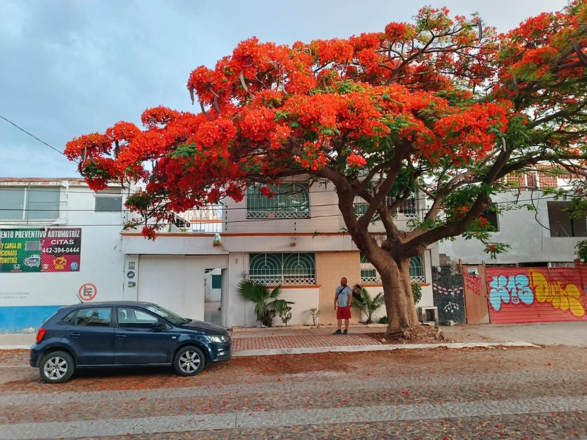 Casa Flamboyant Hotel เกเรตาโร ภายนอก รูปภาพ